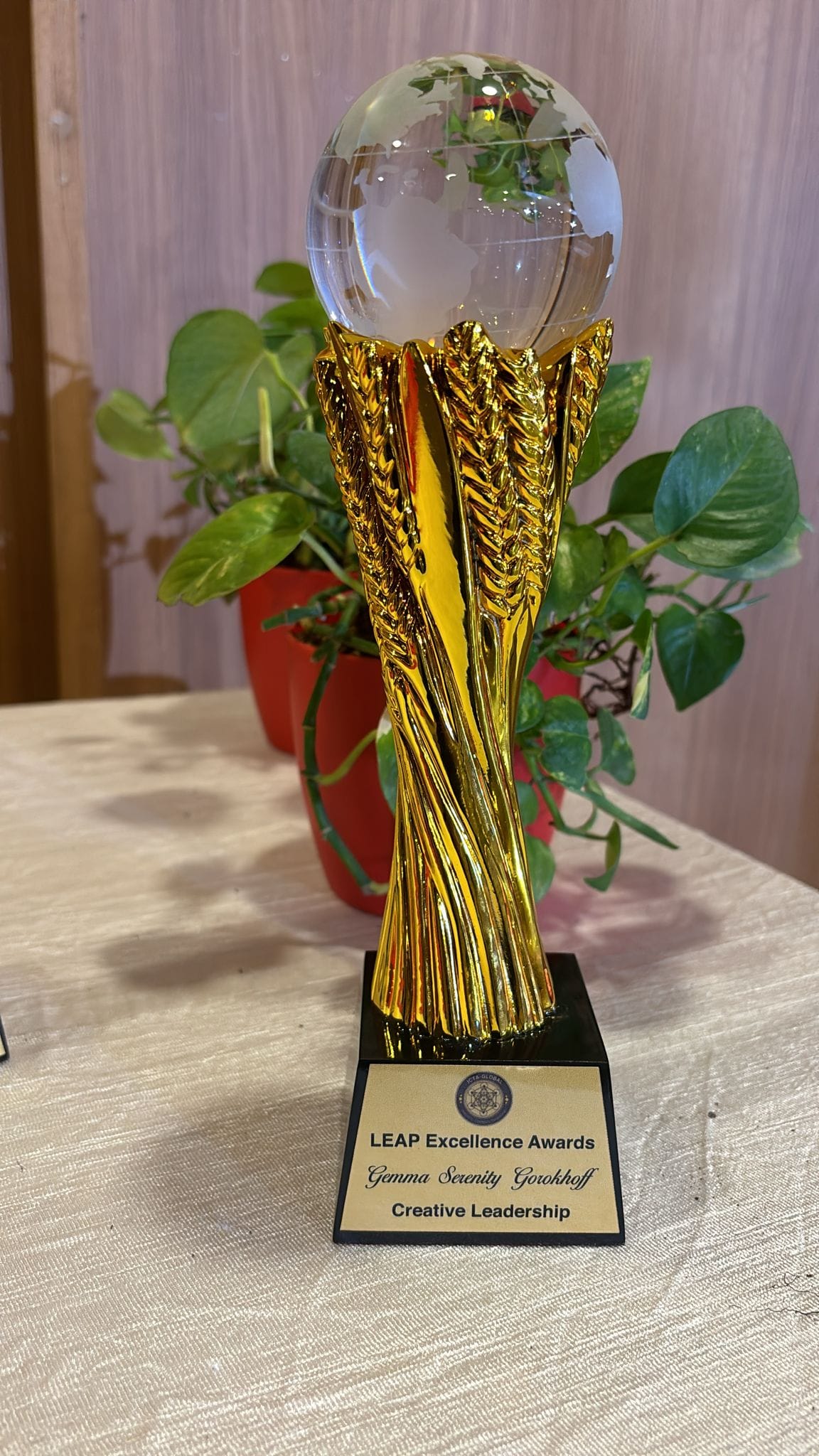 LEAP Excellence Award in Creative Leadership